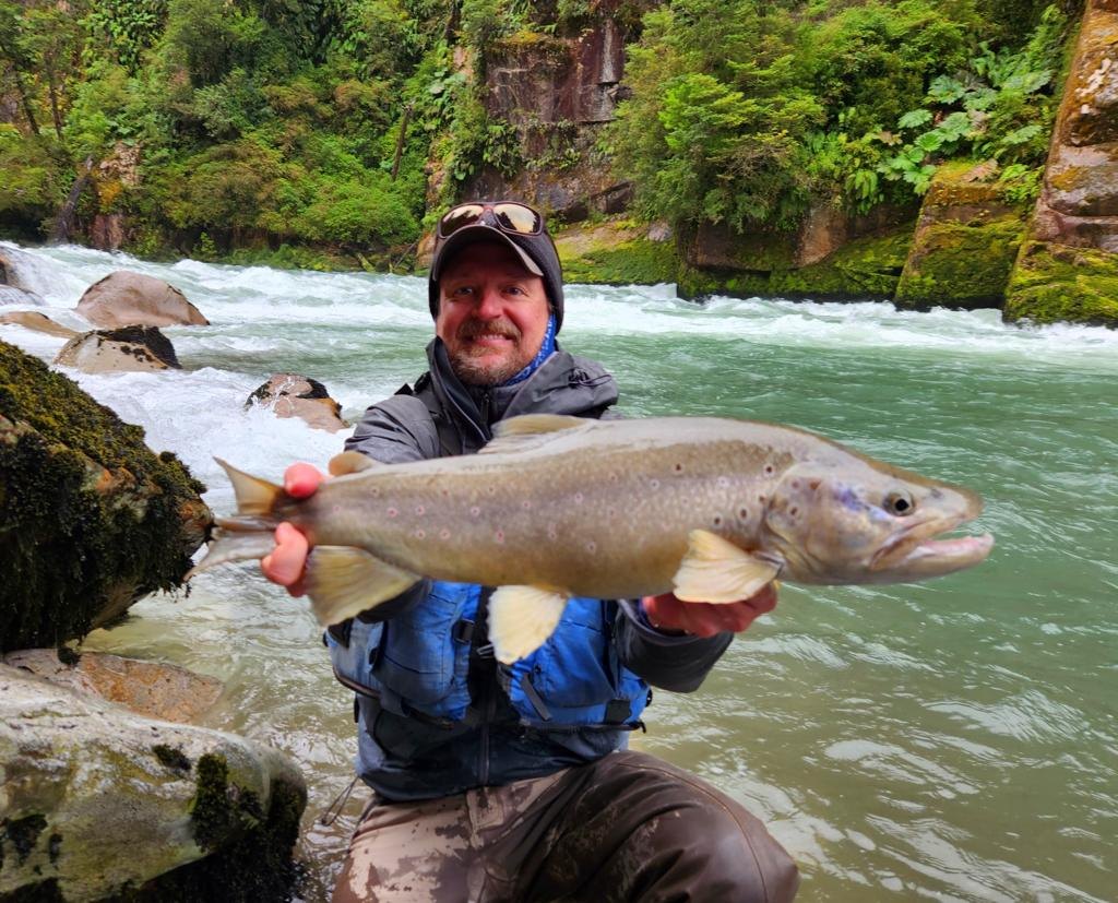 Guest with a brown trout in a canyon river in Chilean Patagonia