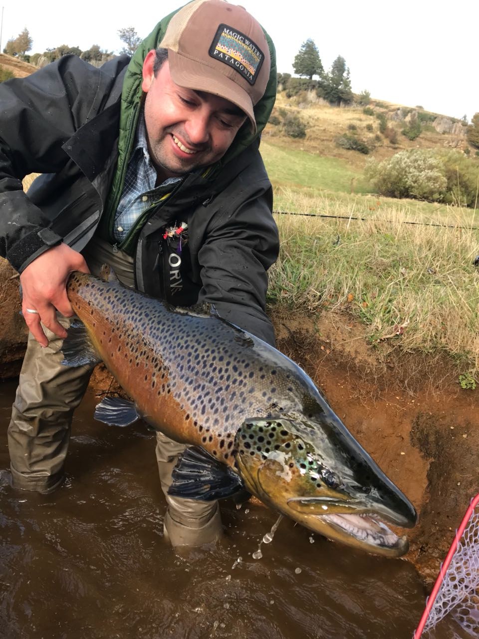 Trophy brown · Magic Waters