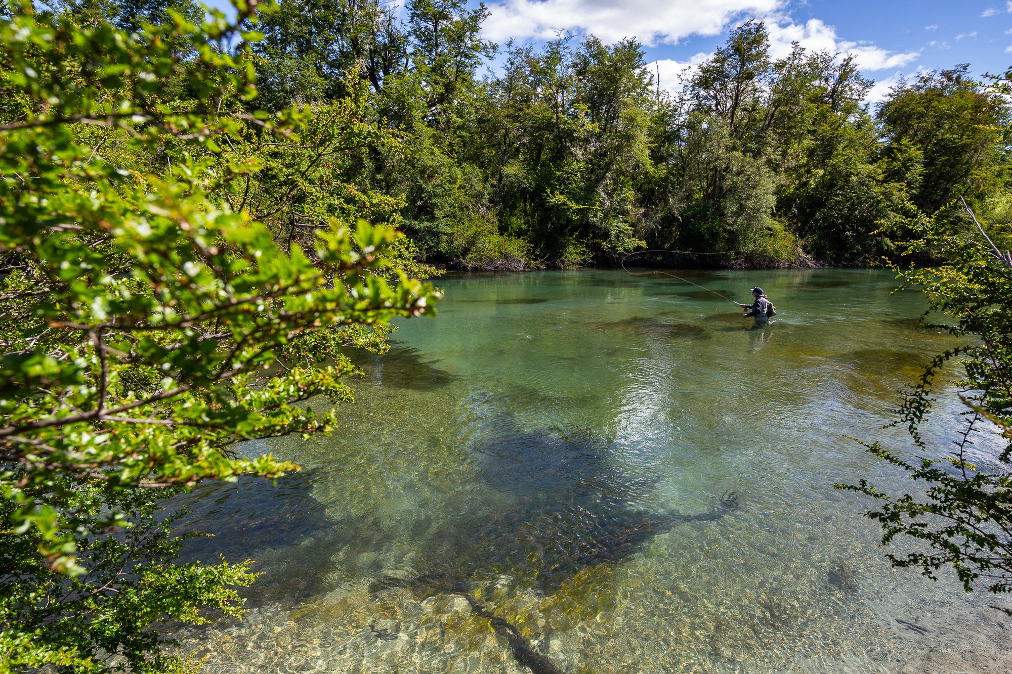 Angler casting a clear side pool near Patagonia Baker Lodge
