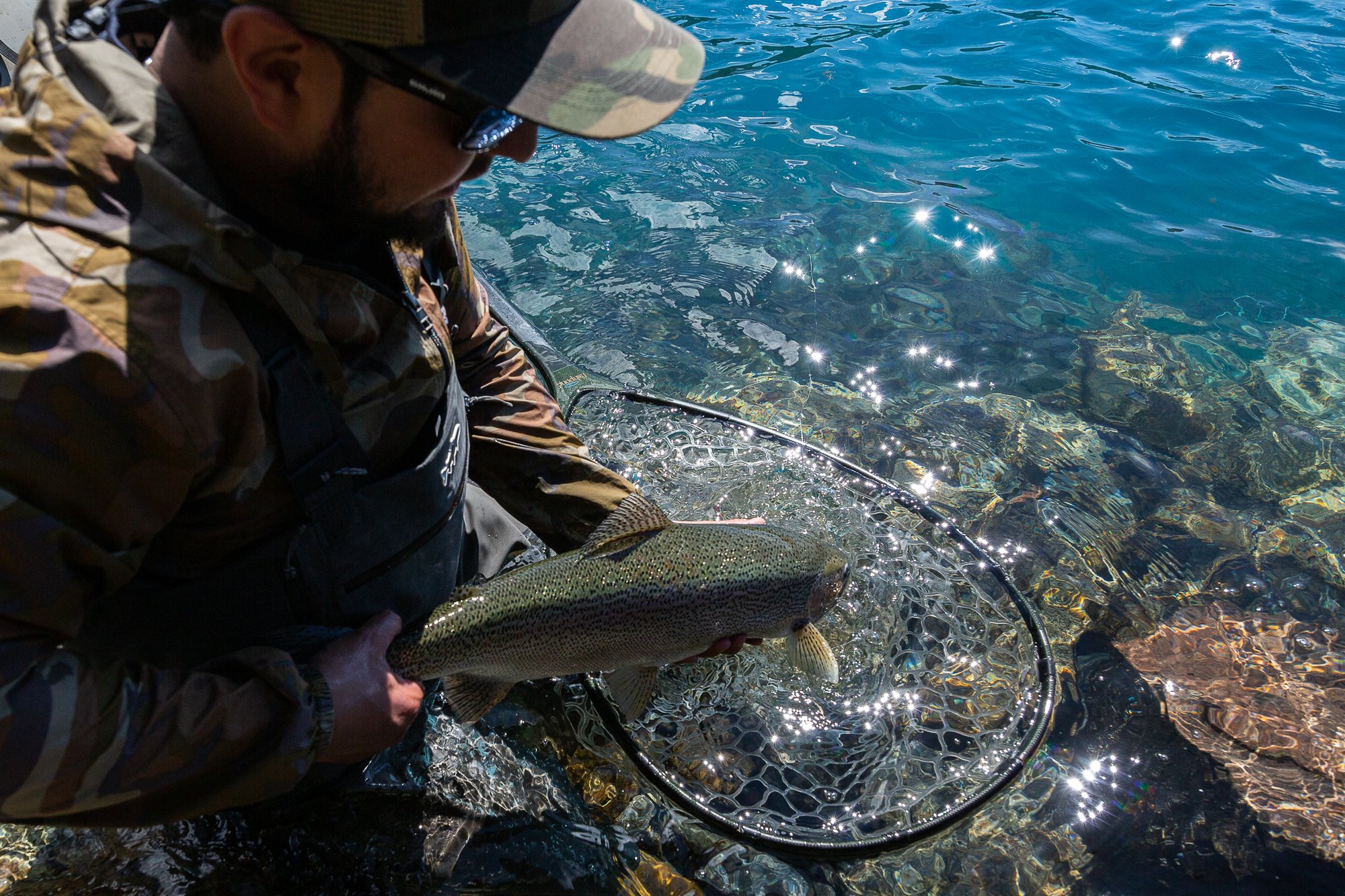 Rainbow trout being released into clear water at Patagonia Baker Lodge
