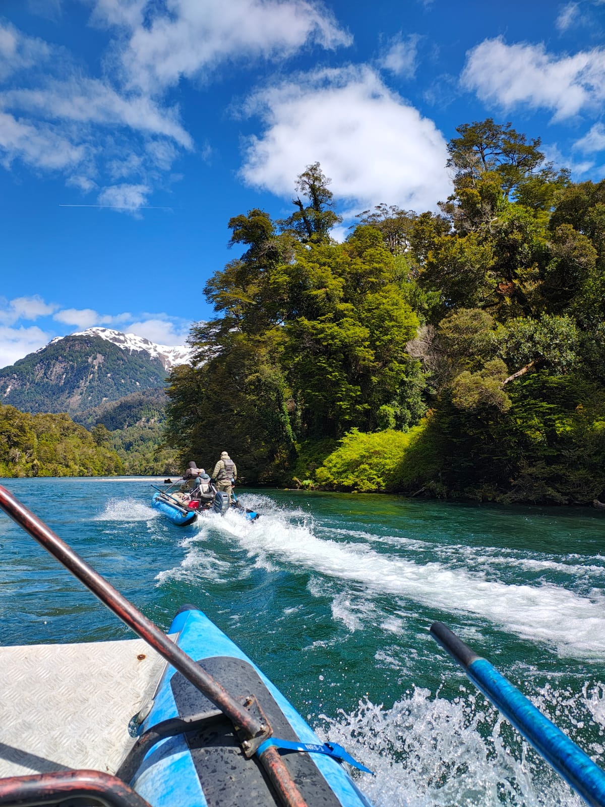 Jet-boat access to River of Dreams — wild brown trout water in the Río Blanco valley, Aysén