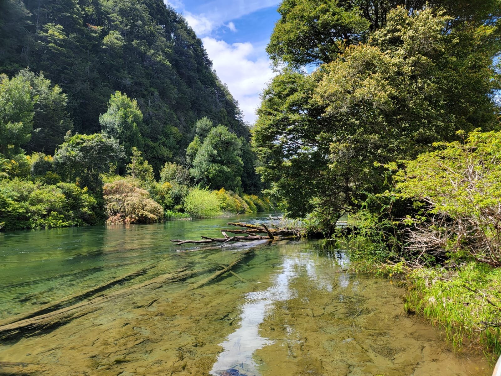 Clear main river in Río Blanco country at River of Dreams Basecamp
