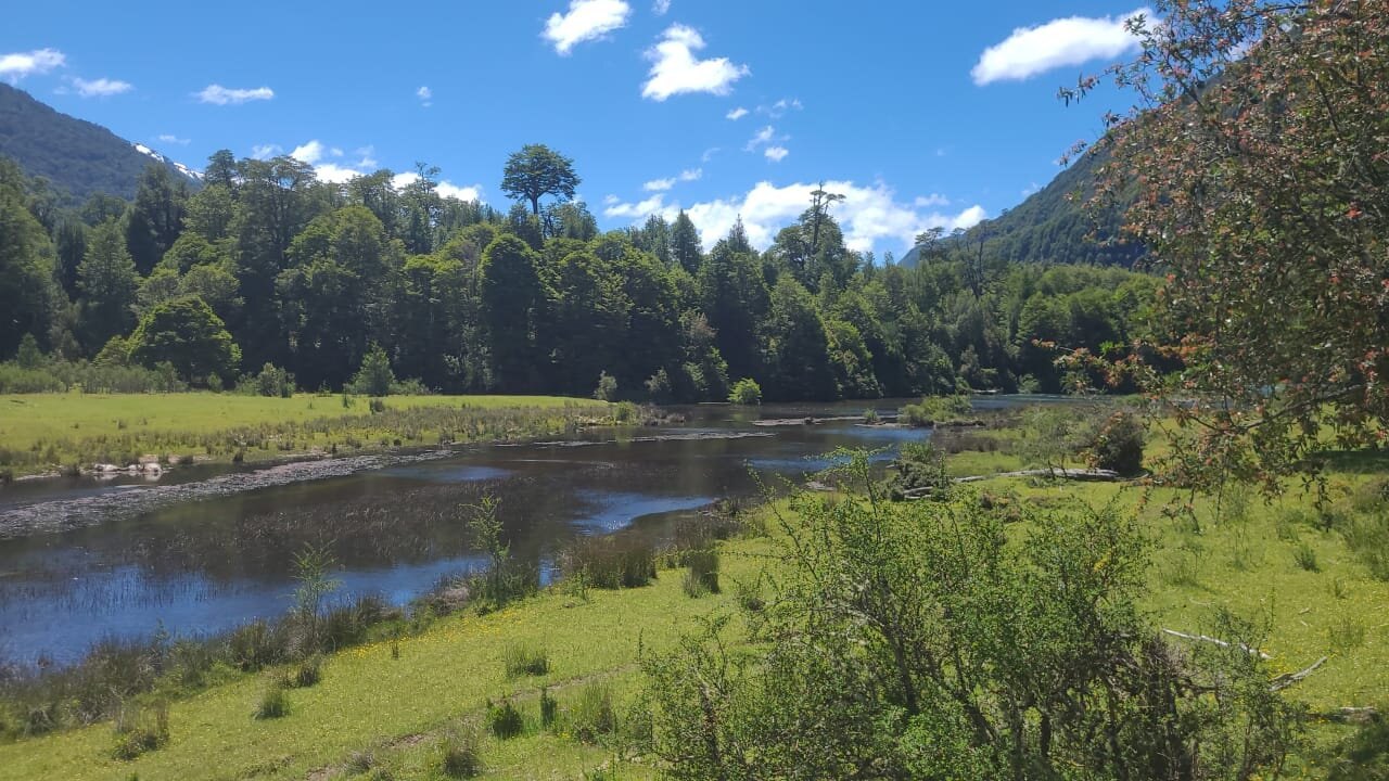 Spring creek and meadow valley near River of Dreams Basecamp